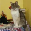 Отзыв от Оля Уткина